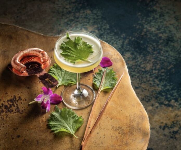 Fizz by Loews Hotels elevates soda culture